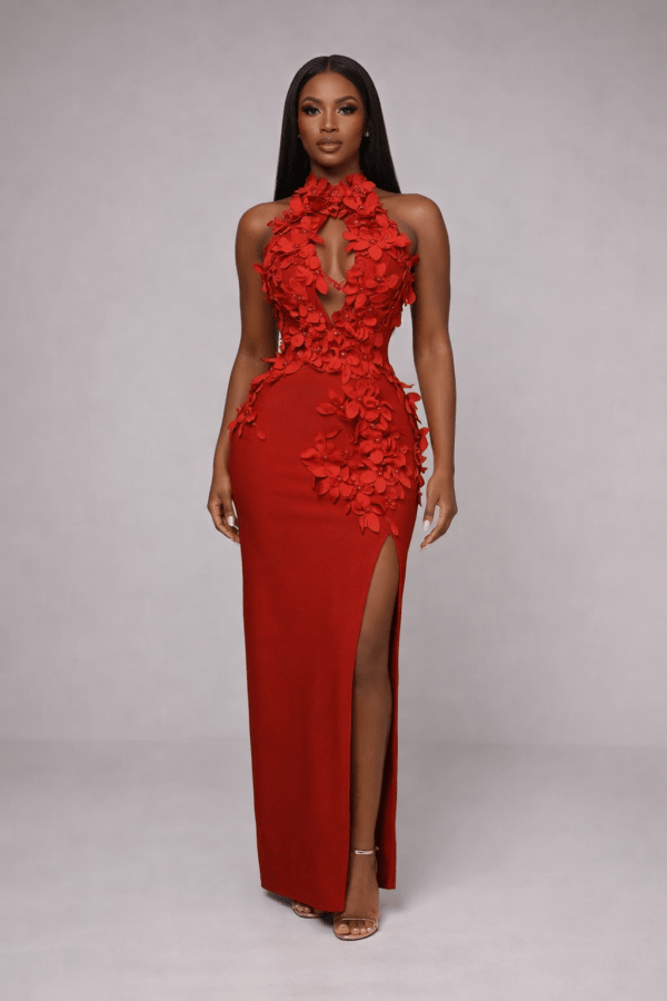Éclat™ Jardin Appliqué Maxi Dress
